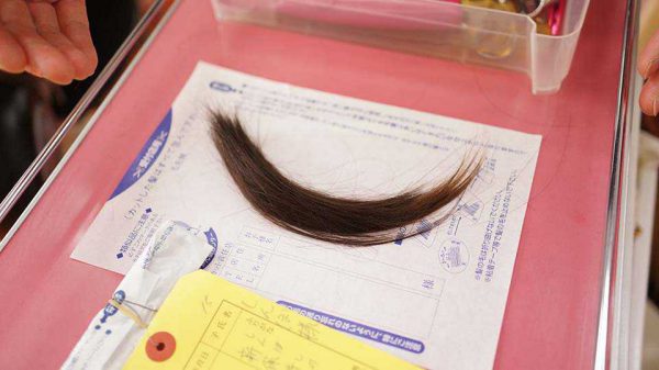 赤ちゃん筆センター 志村坂上