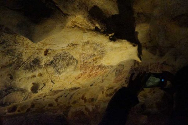 ラスコー展 等身大洞窟模型