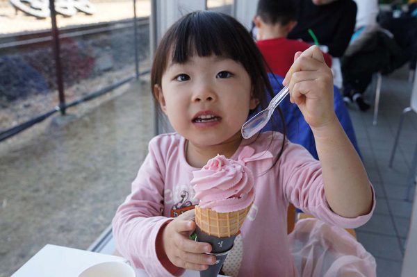 ソフトクリーム美味しいらしい。
