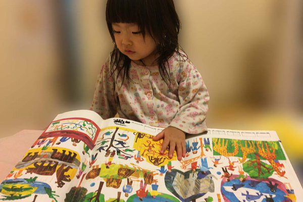 eric carle 1 2 3 to the zoo