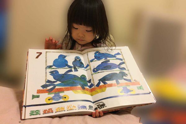eric carle 1 2 3 to the zoo
