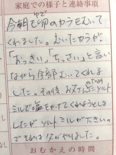 保育園の連絡帳 記入例