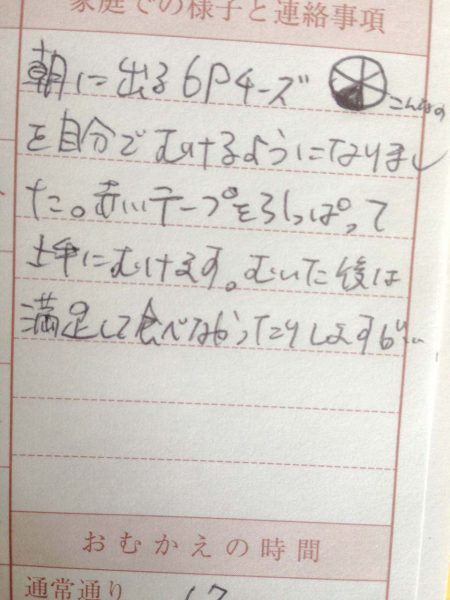 6Pチーズ