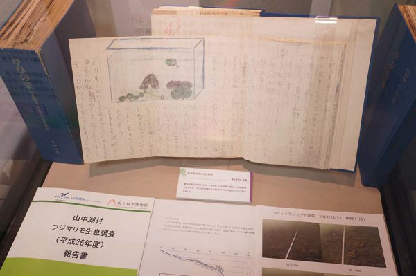 自由研究