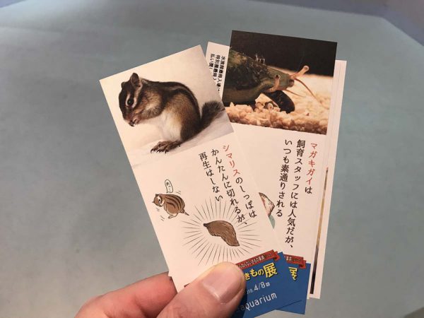 しおり